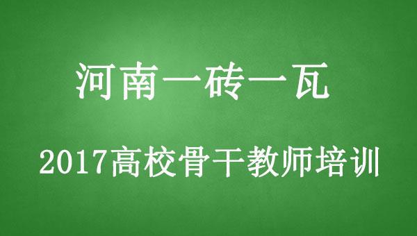 2017高校骨干教师培训