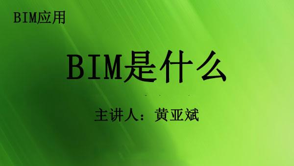 黄亚斌-BIM是什么