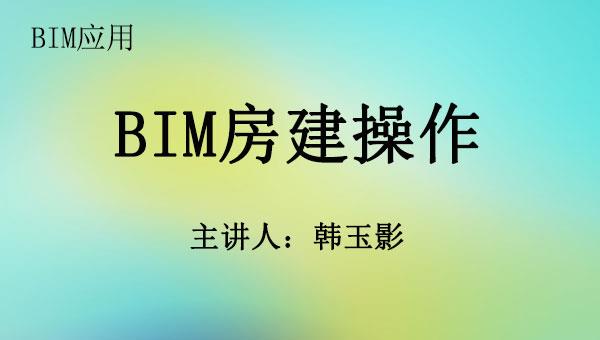 BIMt房建操作